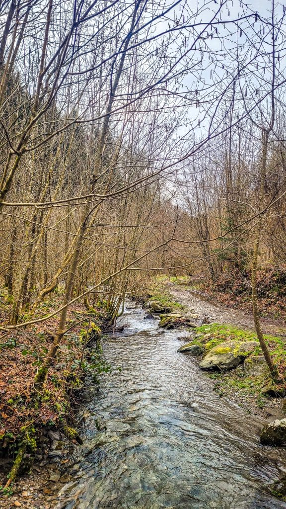 Flowing stream with a winter landscape during the 17k hike. Hiking Le Tombeau du Géant in Botassart, Belgium: Trails, tips & local legends