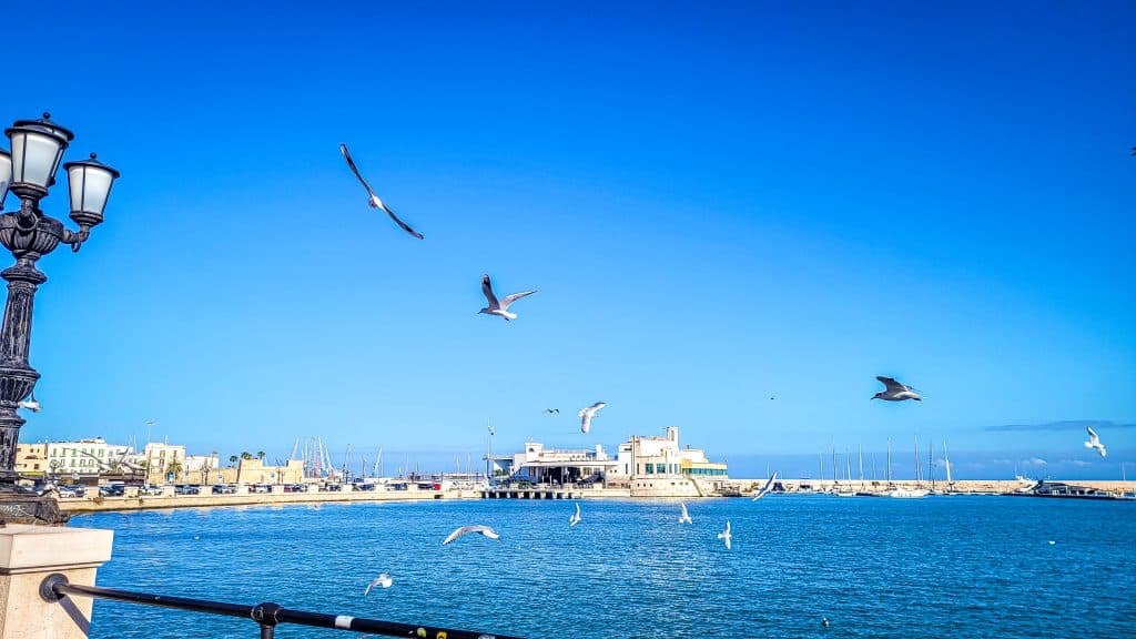 Blue sky, flying seagulls and ocean view of the promenade in Bari. Bari Travel Guide: Discover Hidden Gems in Puglia’s Capital. In the worlds jungle travel blog.